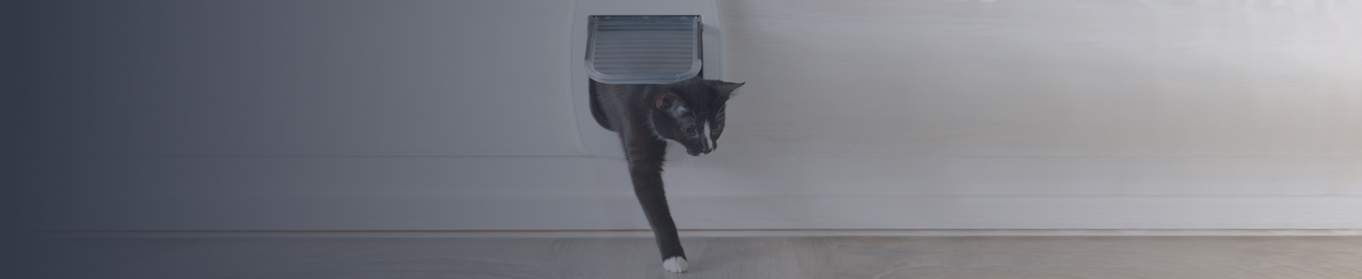 PET DOOR INSTALLATION